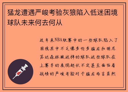 猛龙遭遇严峻考验灰狼陷入低迷困境球队未来何去何从